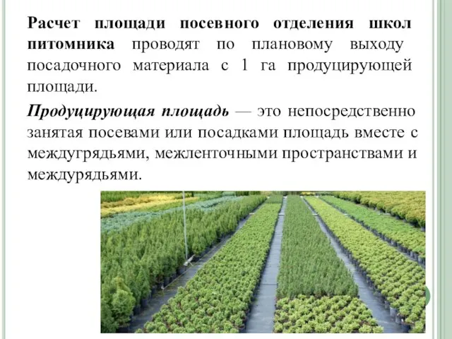 Расчет площади посевного отделе­ния школ питомника про­водят по плановому выходу посадочного