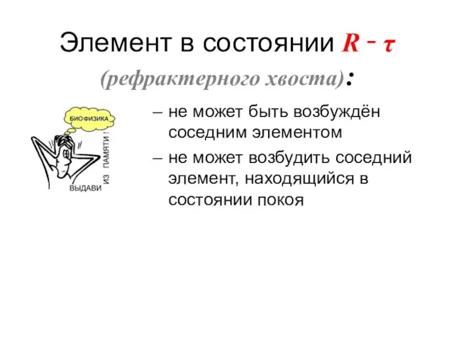Элемент в состоянии R ‑ τ (рефрактерного хвоста): не может быть