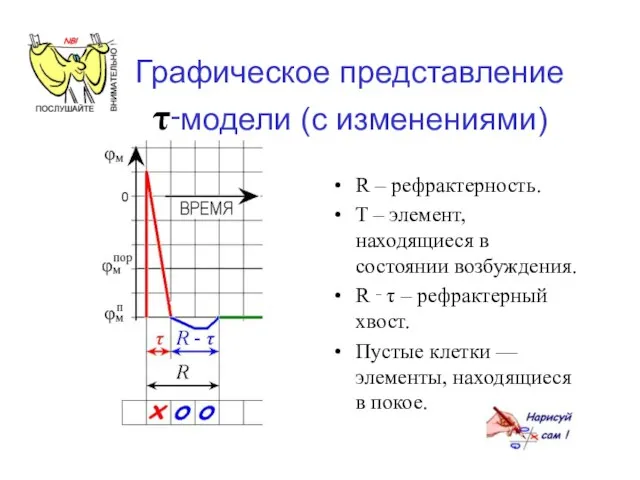 Графическое представление τ‑модели (с изменениями) R – рефрактерность. Τ – элемент,