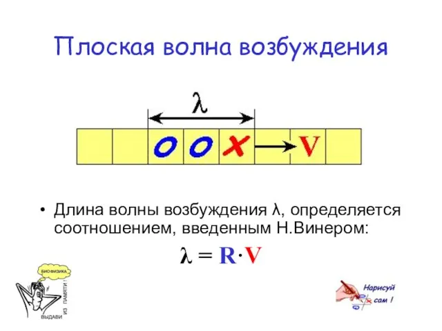 Плоская волна возбуждения Длина волны возбуждения λ, определяется соотношением, введенным Н.Винером: λ = R·V