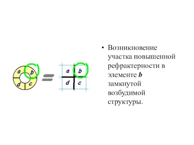 Возникновение участка повышенной рефрактерности в элементе b замкнутой возбудимой структуры.