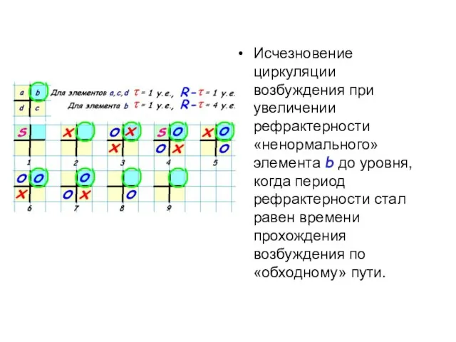 Исчезновение циркуляции возбуждения при увеличении рефрактерности «ненормального» элемента b до уровня,