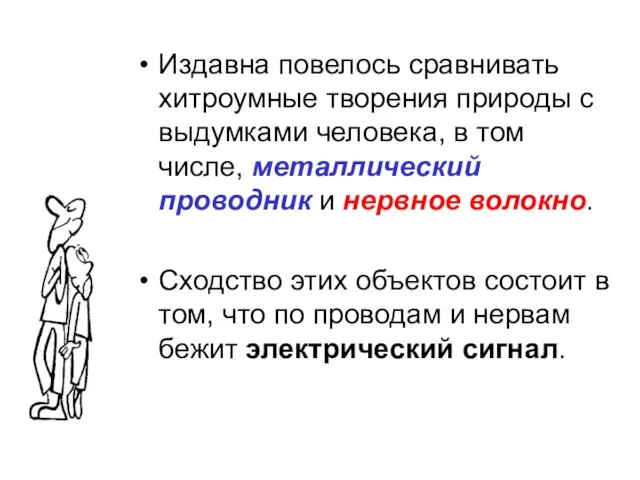 Издавна повелось сравнивать хитроумные творения природы с выдумками человека, в том