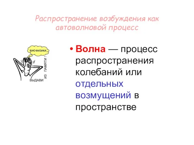 Распространение возбуждения как автоволновой процесс Волна — процесс распространения колебаний или отдельных возмущений в пространстве