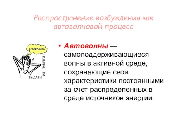 Распространение возбуждения как автоволновой процесс Автоволны — самоподдерживающиеся волны в активной