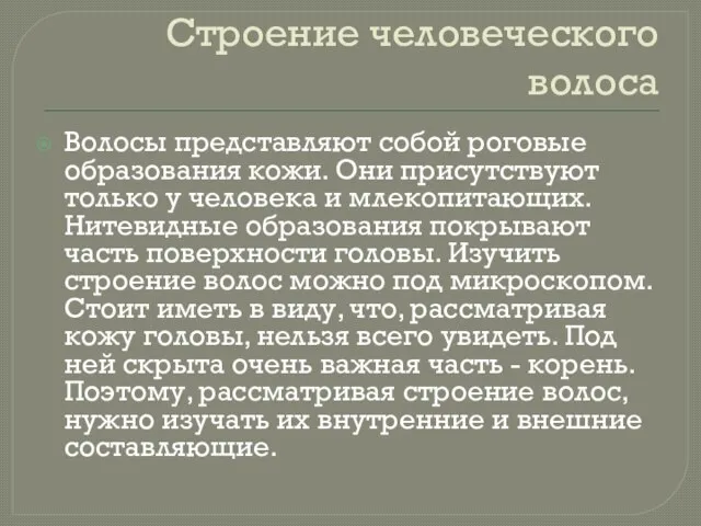 Строение человеческого волоса Волосы представляют собой роговые образования кожи. Они присутствуют