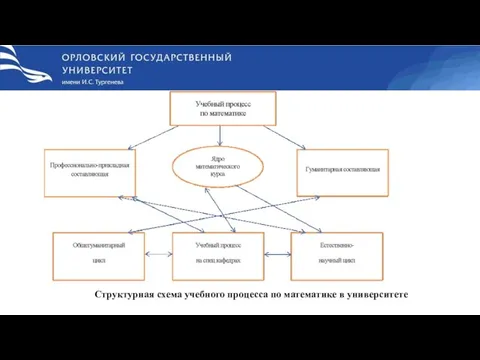 Структурная схема учебного процесса по математике в университете