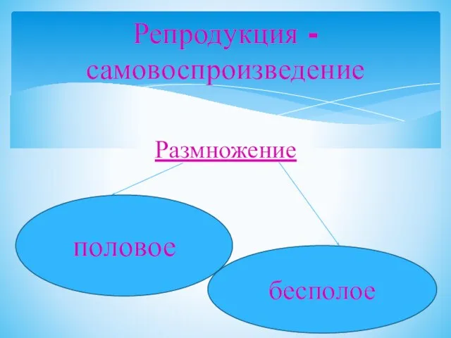 Размножение Репродукция - самовоспроизведение половое бесполое