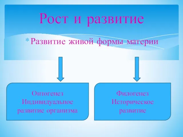 Развитие живой формы материи Рост и развитие Онтогенез Индивидуальное развитие организма Филогенез Историческое развитие