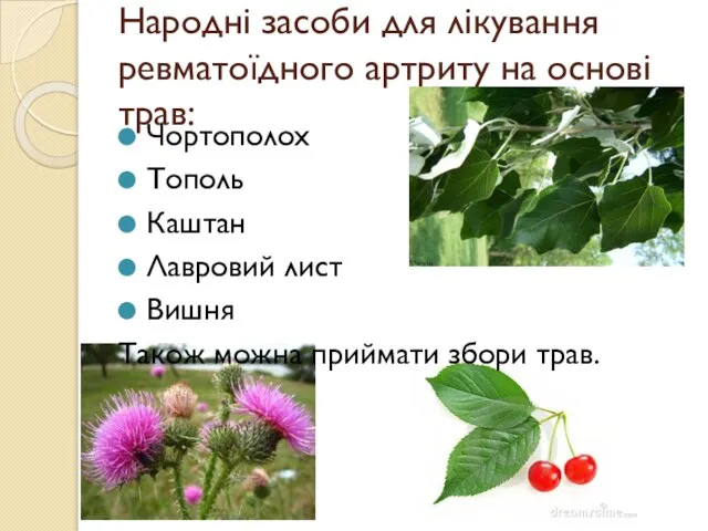 Народні засоби для лікування ревматоїдного артриту на основі трав: Чортополох Тополь