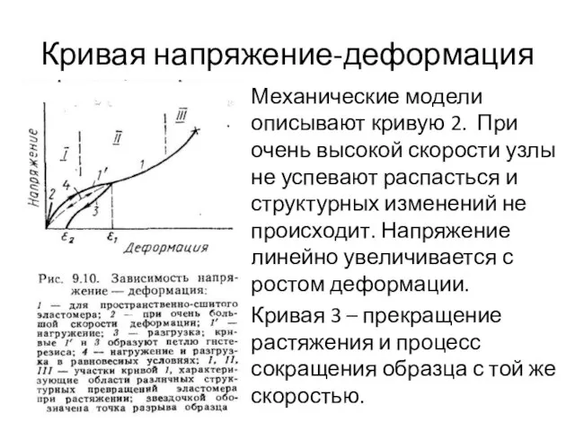 Кривая напряжение-деформация Механические модели описывают кривую 2. При очень высокой скорости