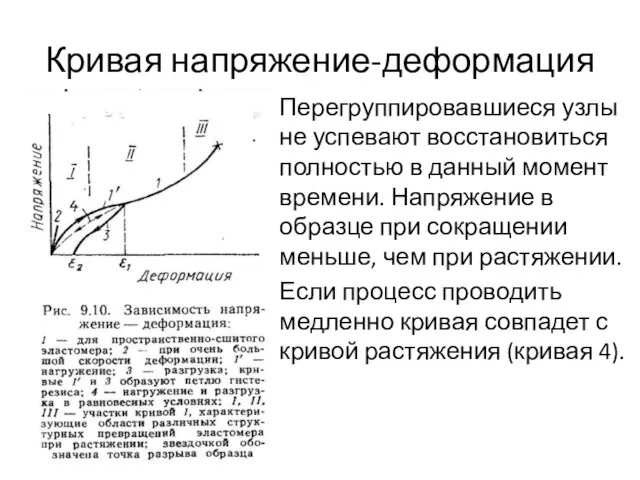 Кривая напряжение-деформация Перегруппировавшиеся узлы не успевают восстановиться полностью в данный момент