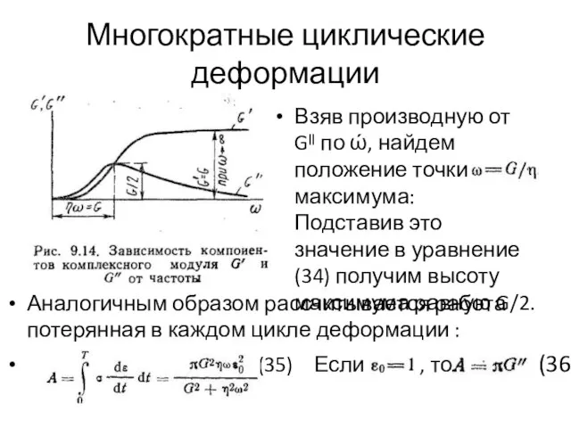 Многократные циклические деформации Взяв производную от Gᴵᴵ по ώ, найдем положение