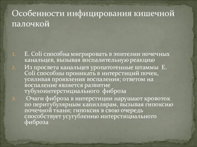 Особенности инфицирования кишечной палочкой E. Coli способна мигрировать в эпителии почечных