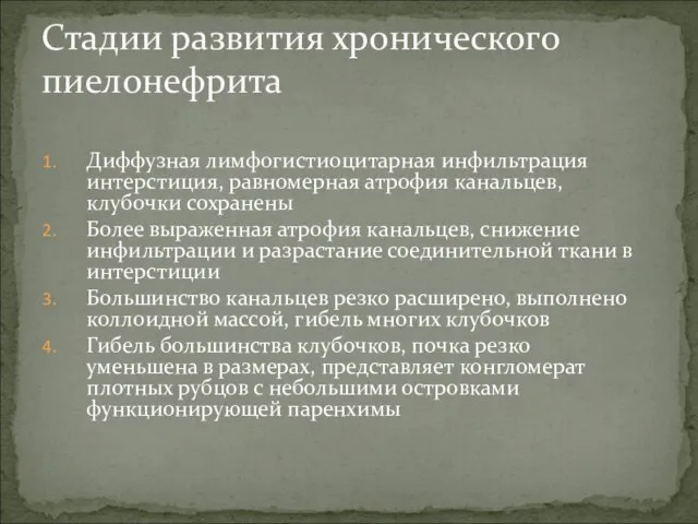 Стадии развития хронического пиелонефрита Диффузная лимфогистиоцитарная инфильтрация интерстиция, равномерная атрофия канальцев,