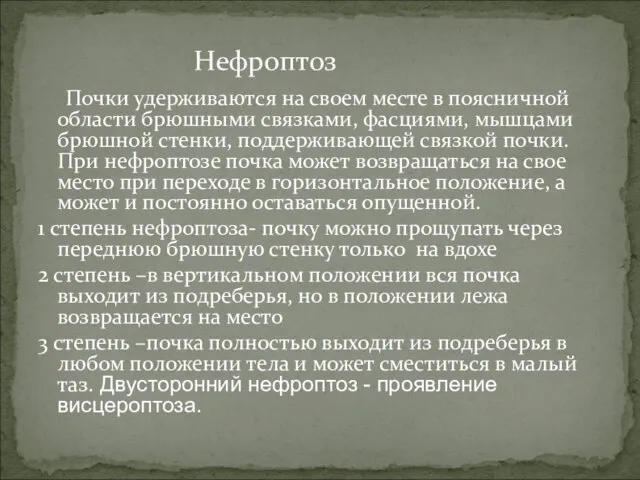 Нефроптоз Почки удерживаются на своем месте в поясничной области брюшными связками,