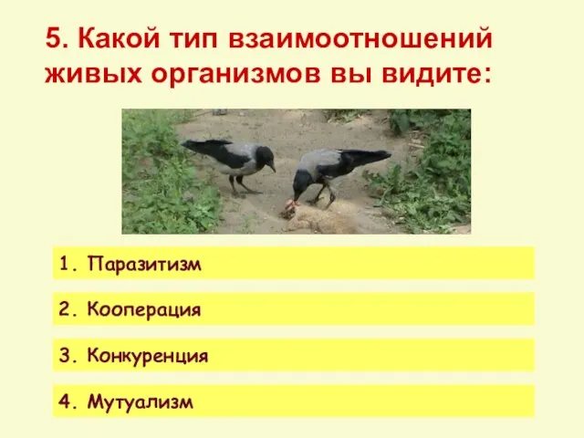 5. Какой тип взаимоотношений живых организмов вы видите: 1. Паразитизм 2. Кооперация 3. Конкуренция 4. Мутуализм