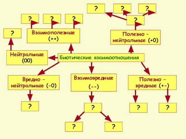 Биотические взаимоотношения Взаимополезные (++) Полезно – нейтральные (+0) Нейтральные (00) Полезно