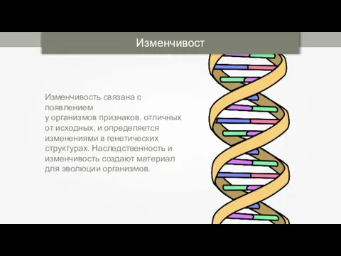 Изменчивость Изменчивость связана с появлением у организмов признаков, отличных от исходных,