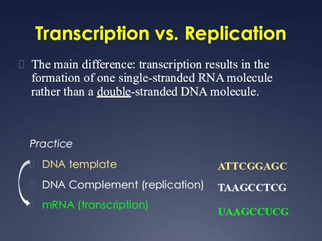 Transcription vs. Replication The main difference: transcription results in the formation