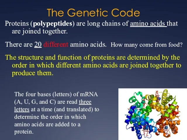 The Genetic Code Proteins (polypeptides) are long chains of amino acids