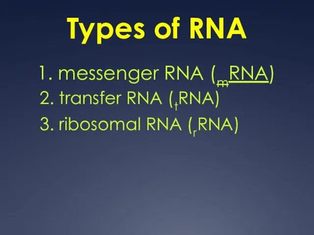 1. messenger RNA (mRNA) Types of RNA 2. transfer RNA (tRNA) 3. ribosomal RNA (rRNA)