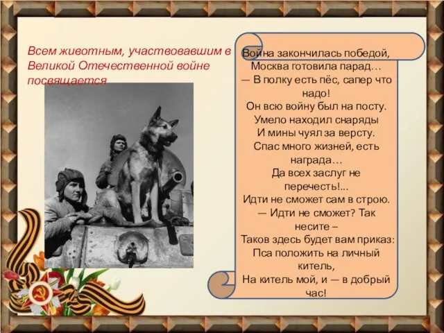 Война закончилась победой, Москва готовила парад… — В полку есть пёс,