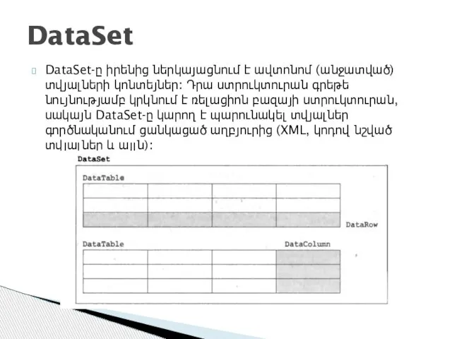 DataSet-ը իրենից ներկայացնում է ավտոնոմ (անջատված) տվյալների կոնտեյներ։ Դրա ստրուկտուրան գրեթե