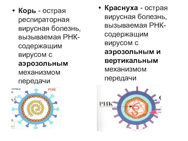 Корь - острая респираторная вирусная болезнь, вызываемая РНК-содержащим вирусом с аэрозольным