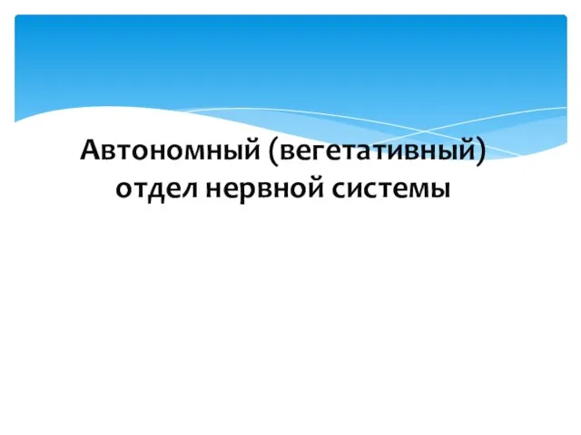 Автономный (вегетативный) отдел нервной системы