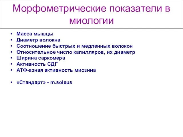 Морфометрические показатели в миологии Масса мышцы Диаметр волокна Соотношение быстрых и