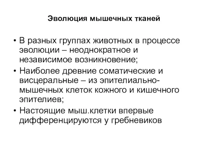 Эволюция мышечных тканей В разных группах животных в процессе эволюции –