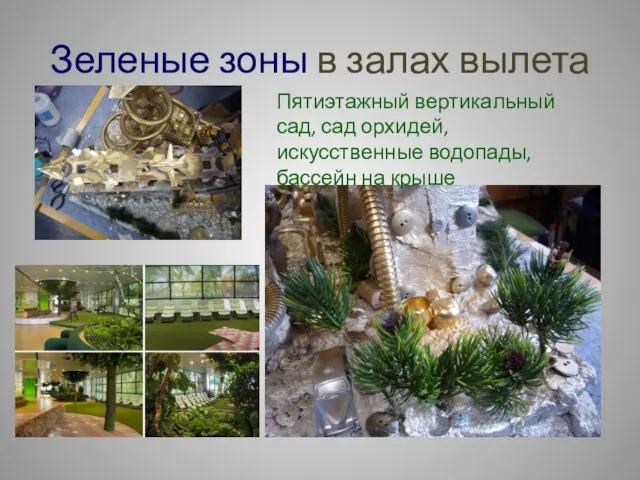 Зеленые зоны в залах вылета Пятиэтажный вертикальный сад, сад орхидей, искусственные водопады, бассейн на крыше