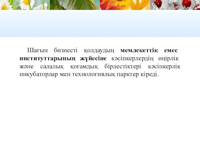 Шағын бизнесті қолдаудың мемлекеттік емес институттарының жүйесіне кәсіпкерлердің өңірлік және салалық