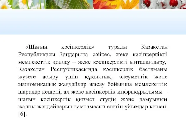 «Шағын кәсіпкерлік» туралы Қазақстан Республикасы Заңдарына сәйкес, жеке кәсіпкерлікті мемлекеттік қолдау