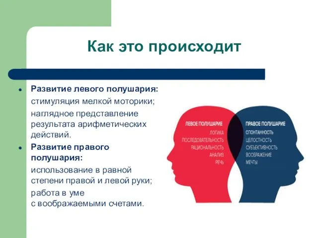 Как это происходит Развитие левого полушария: стимуляция мелкой моторики; наглядное представление