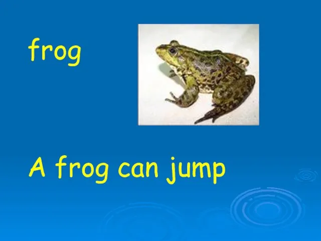 frog A frog can jump