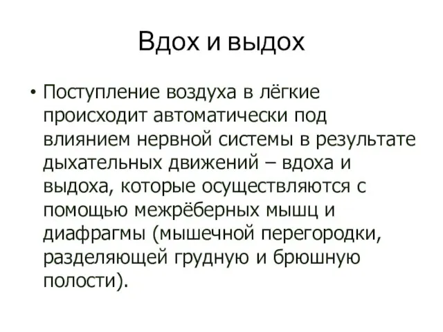 Вдох и выдох Поступление воздуха в лёгкие происходит автоматически под влиянием