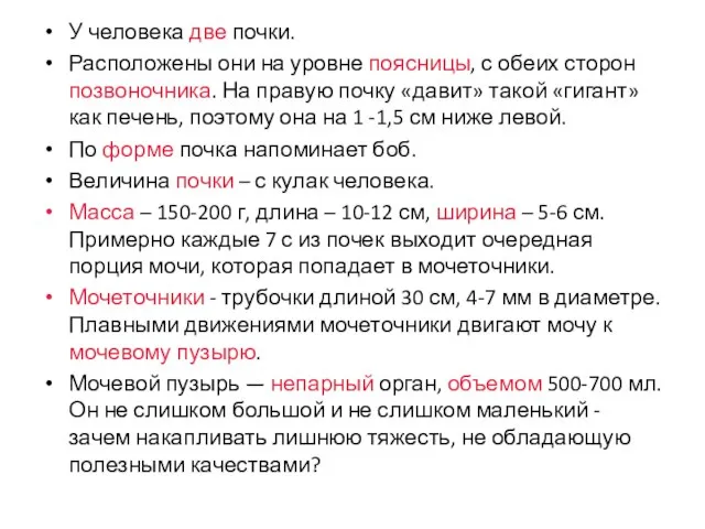 У человека две почки. Расположены они на уровне поясницы, с обеих