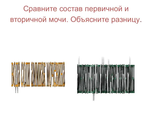 аминокислоты вода соли аммиак мочевина глюкоза витамины вода соли аммиак мочевина