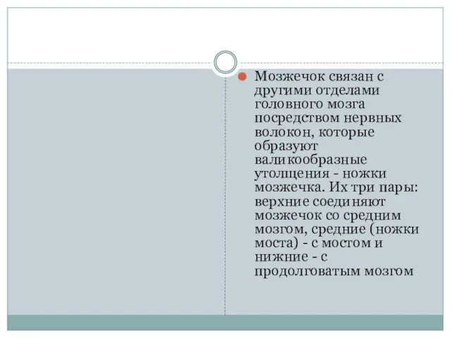 Мозжечок связан с другими отделами головного мозга посредством нервных волокон, которые