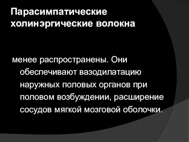 Парасимпатические холинэргические волокна менее распространены. Они обеспечивают вазодилатацию наружных половых органов