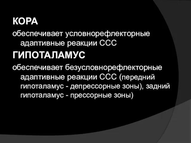 КОРА обеспечивает условнорефлекторные адаптивные реакции ССС ГИПОТАЛАМУС обеспечивает безусловнорефлекторные адаптивные реакции