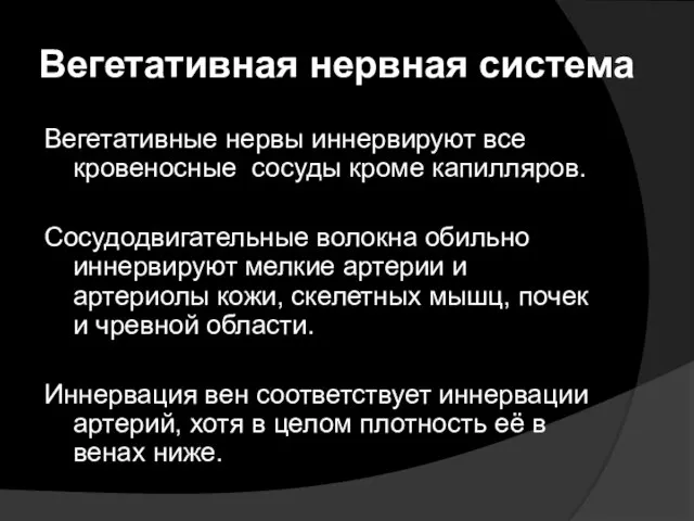 Вегетативная нервная система Вегетативные нервы иннервируют все кровеносные сосуды кроме капилляров.