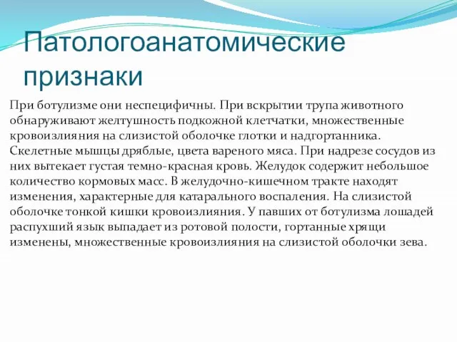 Патологоанатомические признаки При ботулизме они неспецифичны. При вскрытии трупа животного обнаруживают