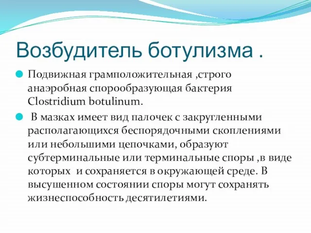 Возбудитель ботулизма . Подвижная грамположительная ,строго анаэробная спорообразующая бактерия Clostridium botulinum.