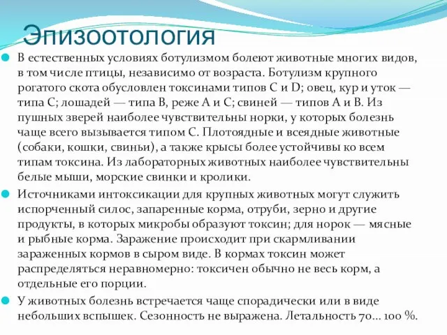 Эпизоотология В естественных условиях ботулизмом болеют животные многих видов, в том