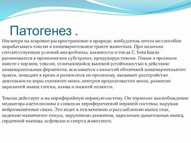 Патогенез . Несмотря на широкое распространение в природе, возбудитель почти не