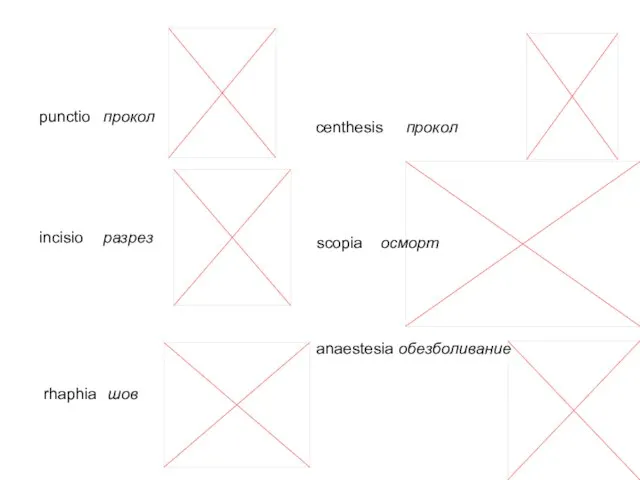 punctio прокол incisio разрез rhaphia шов centhesis прокол scopia осморт anaestesia обезболивание