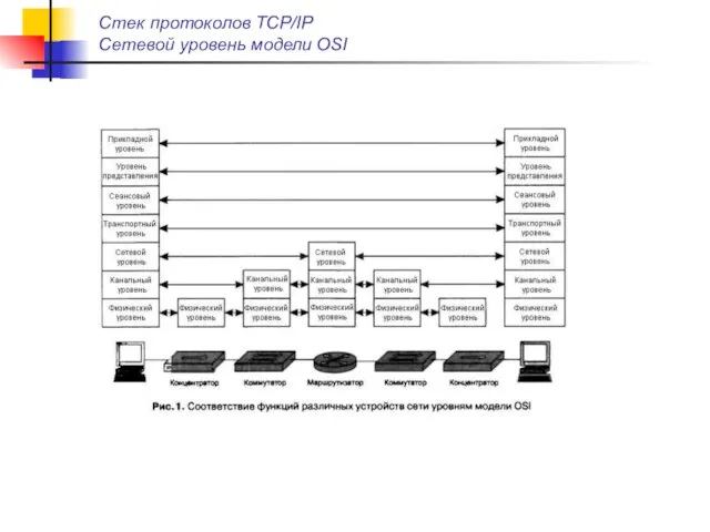 Стек протоколов TCP/IP Сетевой уровень модели OSI